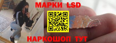шишки Камышлов