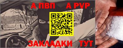 стаф Кингисепп